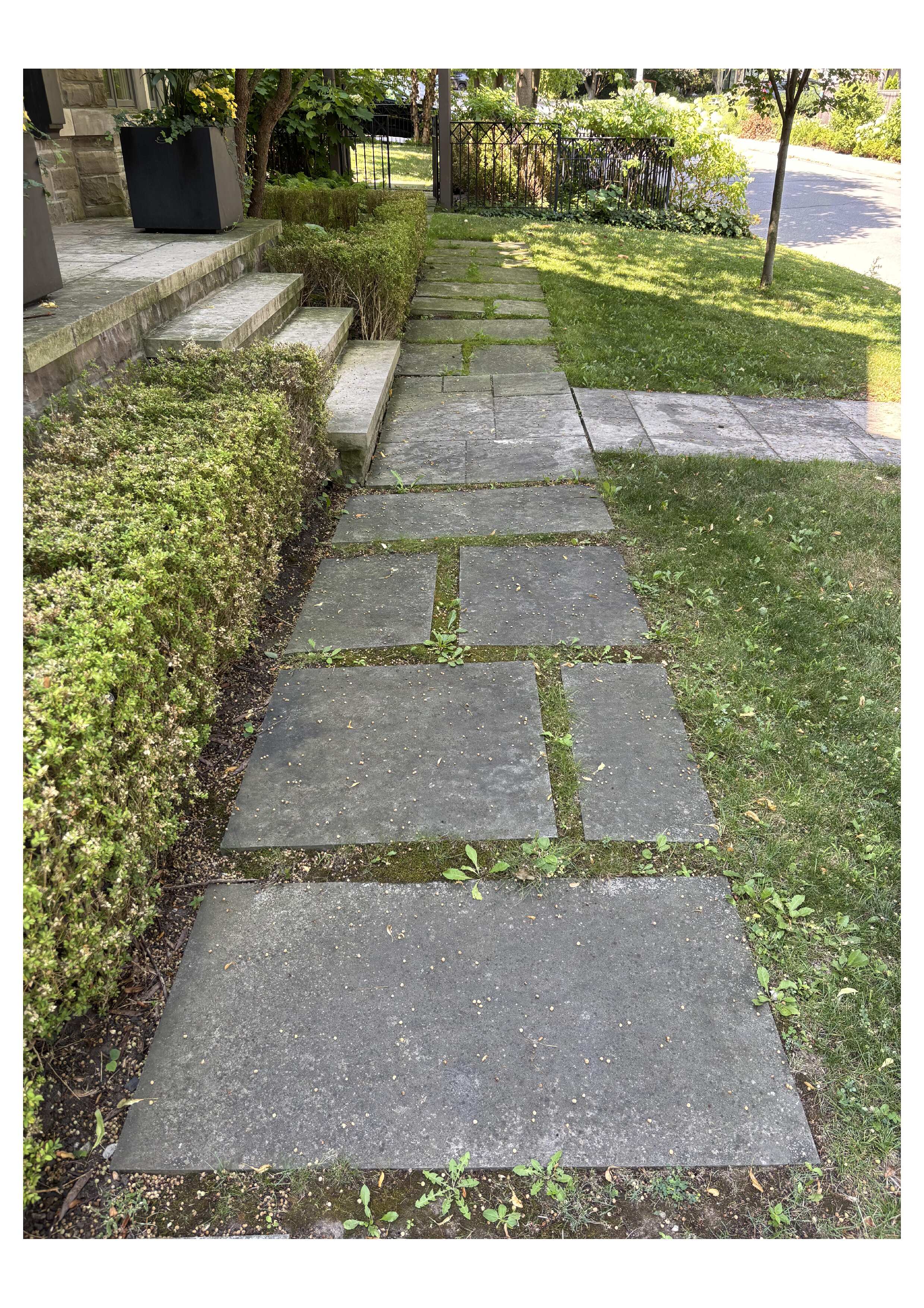Walkway before