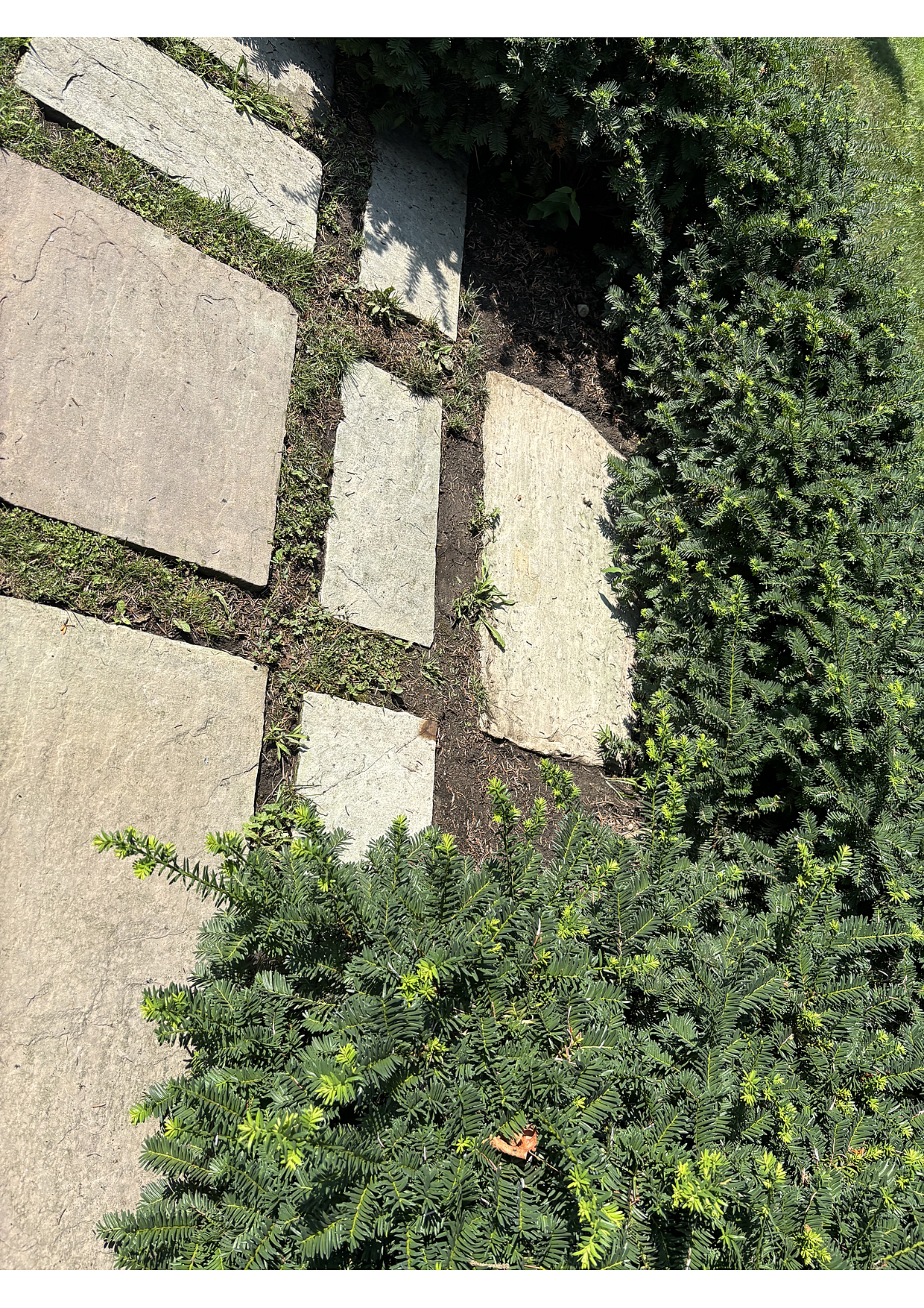 After pressure washing