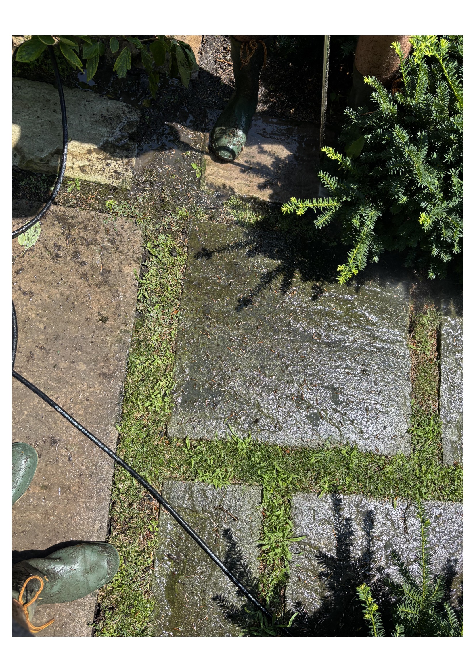Before pressure washing