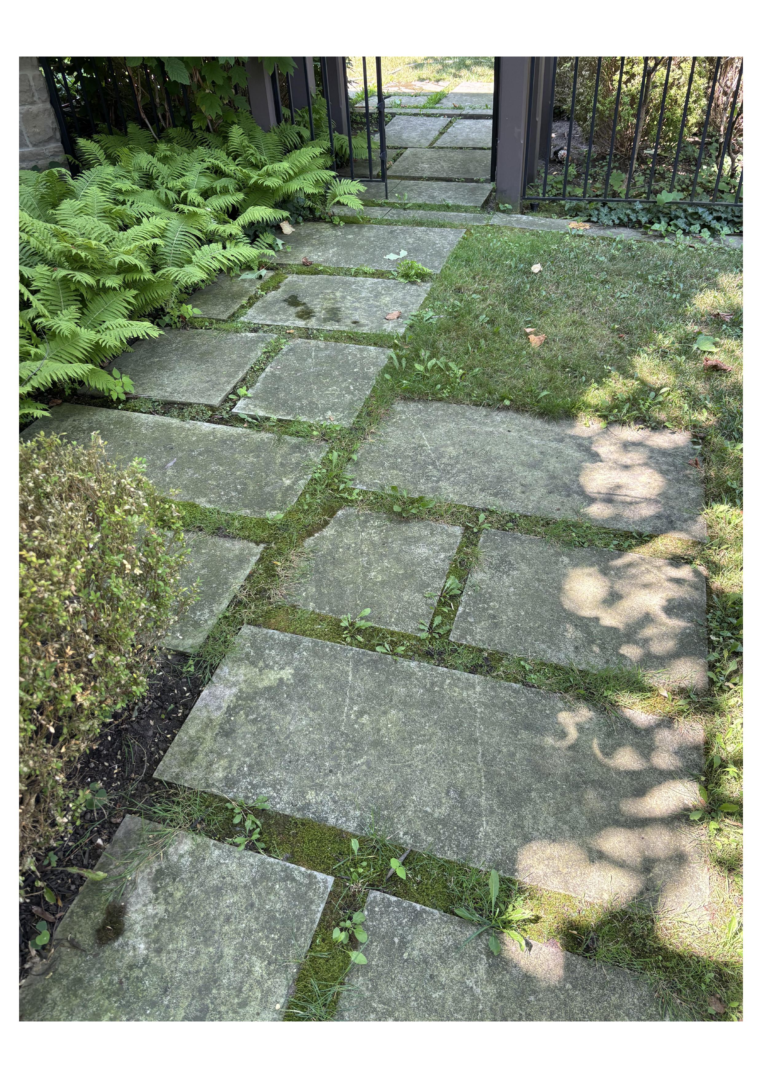 Walkway before